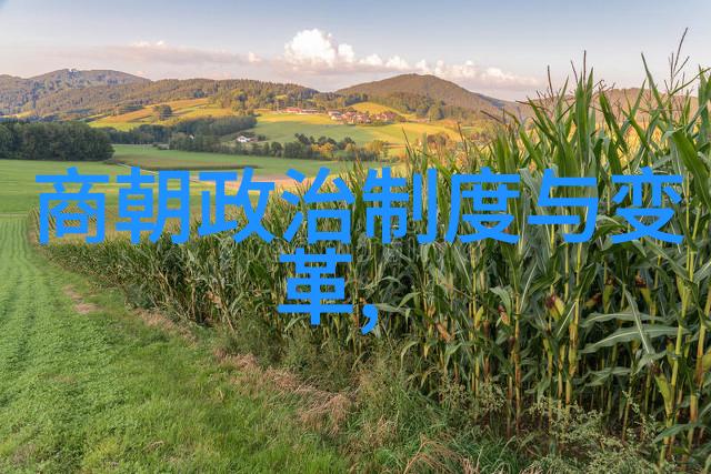 一句话概括唐朝 - 华夏盛世唐朝的辉煌与光芒