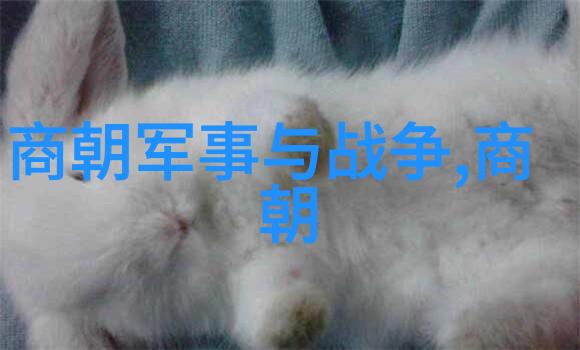 元朝是怎么样灭亡的我亲眼见证了历史一个村民的元末故事