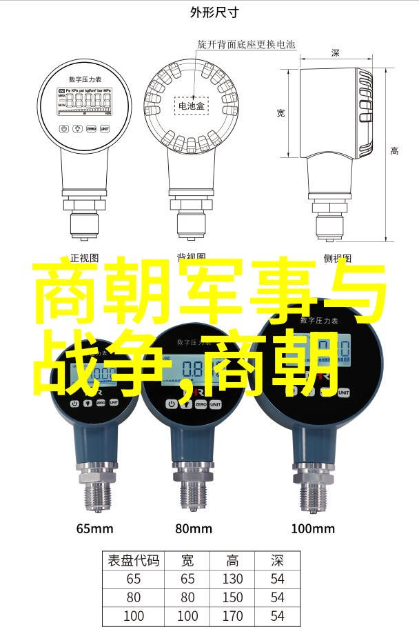 辉煌的帝国序列探索元朝年号与年代之谜