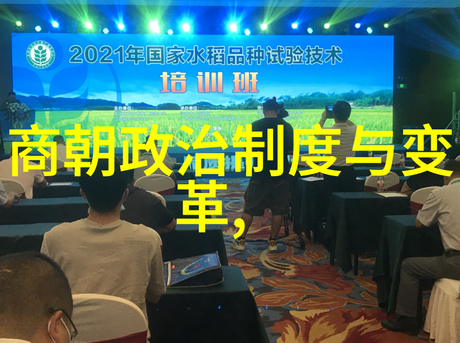 文化大革命中的明朝史书考古学研究