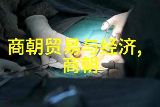 明朝皇帝荣光与衰落的反差