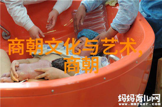 朝代垃圾论争明清之辨