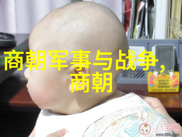 刘亦菲演的靖康电视剧叫-铁血双雄靖康之痛