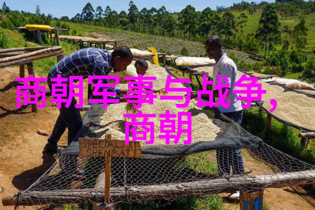 2022年韩国最红的男艺人如同夜空中璀璨的星辰闪耀着无穷魅力他们的经典歌曲就像温柔的诗句流淌在每个听