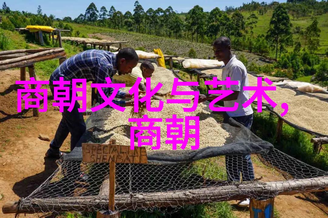 明朝开国皇帝的权力欲望自私之谜探究