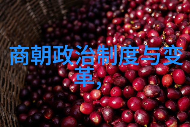 盛唐尽落元朝凋零尘封的辉煌与血雨的末日