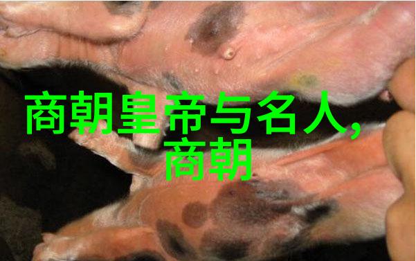 胡靓京剧票友中旦角之魅力与戏路深邃胡靓背负京剧传统的光荣使命