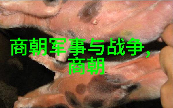 乾隆皇帝的百美佳人揭秘一生的爱情故事与权力斗争