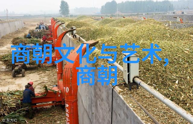宋代地方志作为一种史料形式有什么独特之处