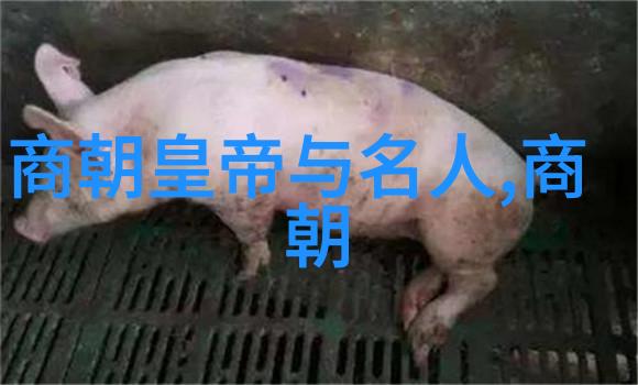 中国历史朝代年表(完整珍藏版)-穿梭千年探索中国历朝兴衰的全方位年表