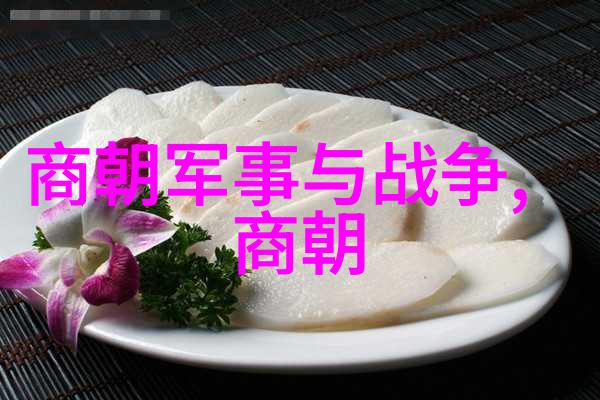 后西辽传奇张世清的征途