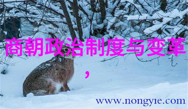 满族入主中原之后如何逐步建立起满洲人的统治体系