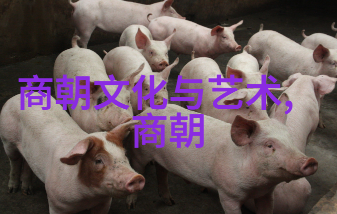 探秘明朝风云经典史书推荐指南