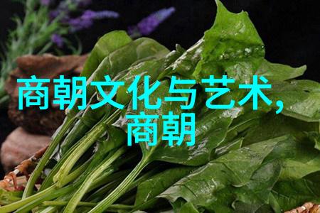 朝阳沟魏云追悼会视频艾立这位豫剧丑行演员如同一位哀伤的守灵者在这个沉默的夜晚用他的演技为逝去的魏云点