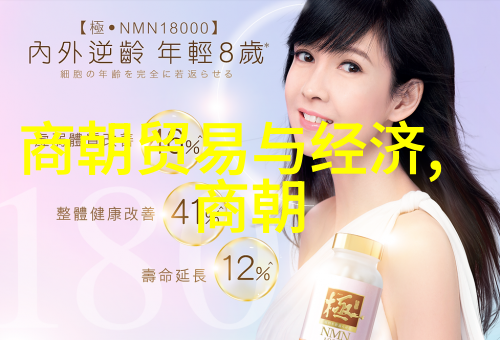 重生首长的小媳妇逆袭之旅与爱的回声