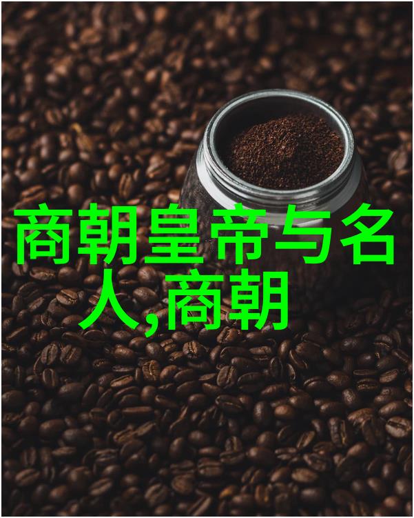 明朝之争朱允炆的软弱与朱棣的野心