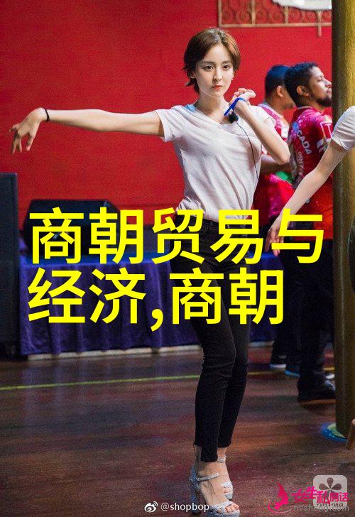 宋朝简介及历史概述 - 东京梦回事五代演变新