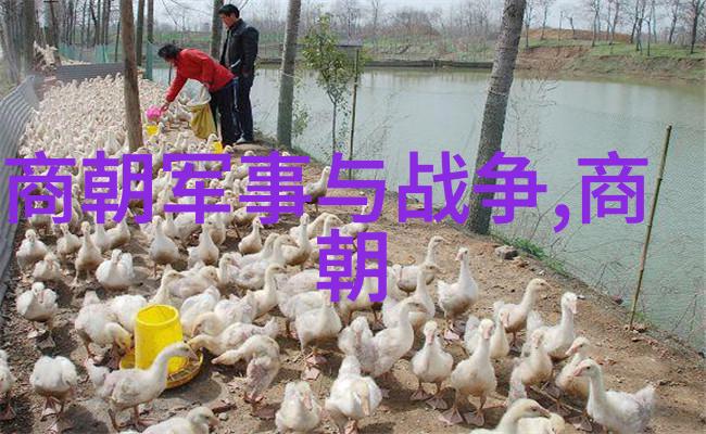 从太宗到光宗哪位明朝君主政绩最佳