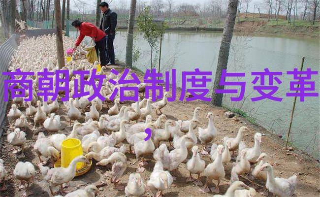 中国古代神话故事的丰富与深远探索传统文化的瑰宝