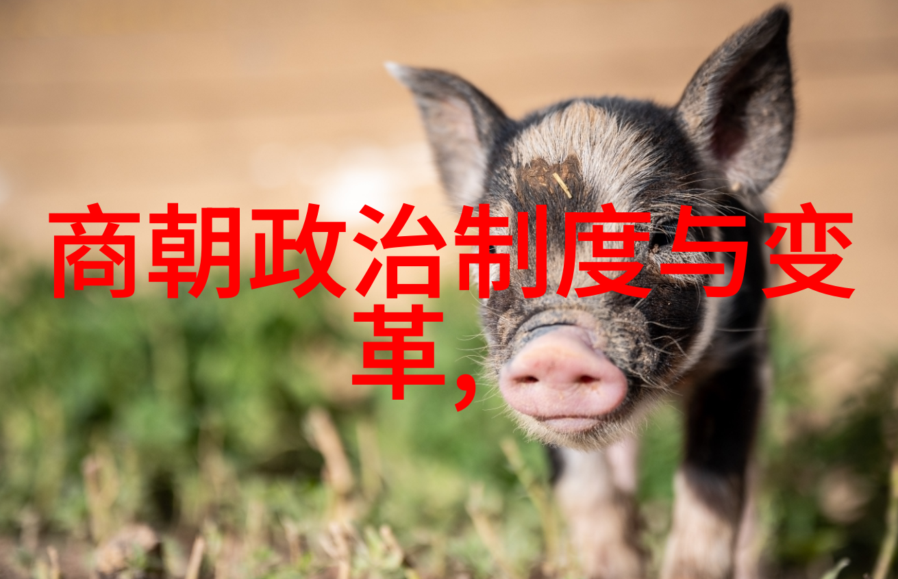 南明朝历代帝王简历 - 梦断江南追忆南明六朝的兴衰与君臣之道