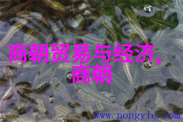 明朝那些事电视剧中朱元璋的权力欲如何逐渐演变成对手下百姓的压迫