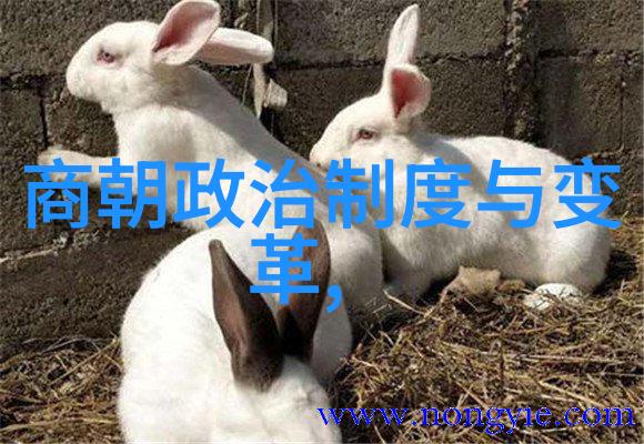 明朝那些事mp3百度网盘-穿越时空的历史乐章明朝那些事的MP3收藏