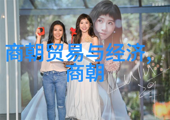 宋朝历史app-探秘宋朝揭秘一款重现古代的史实应用