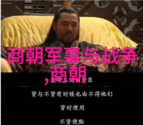 明朝的辉煌与衰败背后是什么样的历史力量在起作用