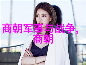宋代理务治理边疆地区如西夏辽国等民族关系管理策略是什么样的