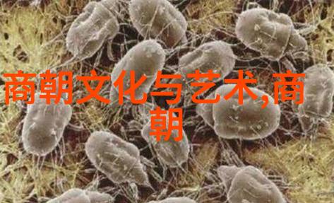明朝衰退的标志从盛世到衰落的转折点探究