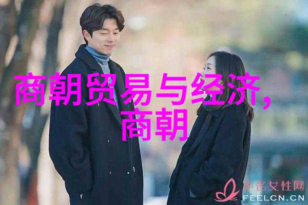 宋代版图之变北宋南迁对国家面积影响分析