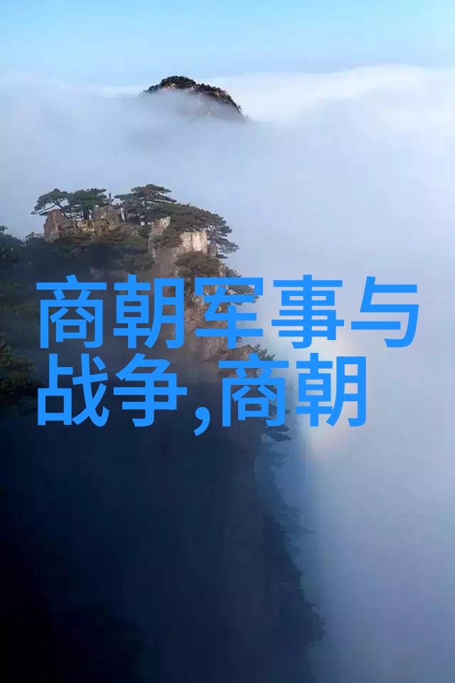 元朝之光探索大蒙古国对中国历史的深远贡献