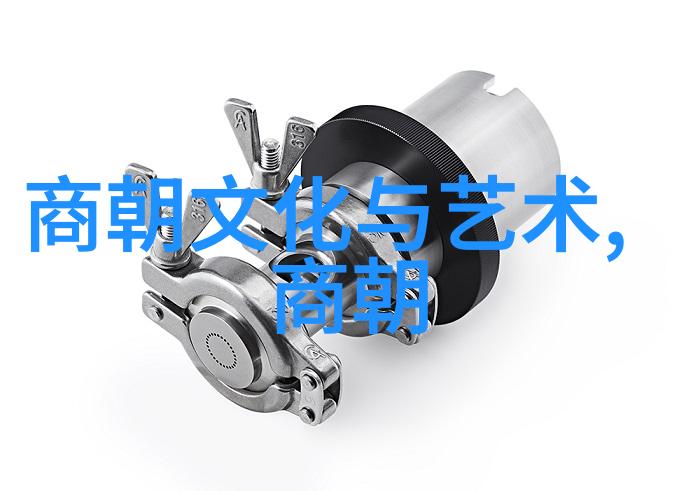 穿越时空的裂痕历史朝代的逆袭