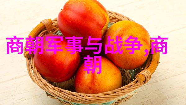 明代时光朝廷变迁与历史轨迹