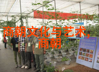 论大辽至大元的转型期对比分析1206年和1271年两次称帝后的政策调整