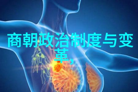明代帝王的辉煌与衰落历史的反思与启示