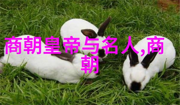 宋明理学对明朝后期政治产生了怎样的影响