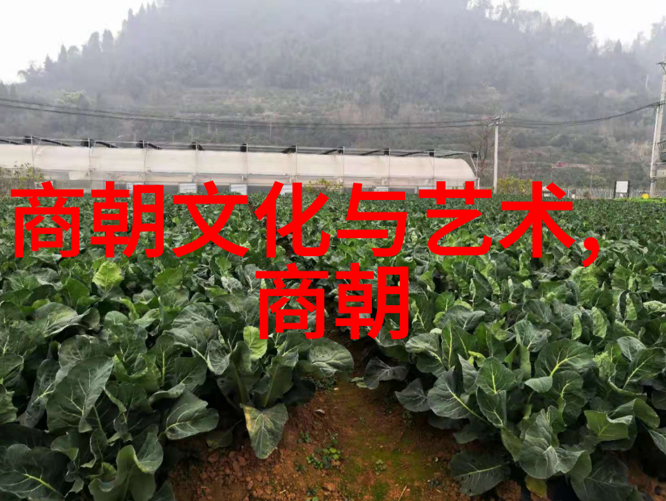 李世民在自然中实践武术中的运动防护技巧