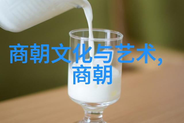 历史的转折探寻宋朝覆灭的真相