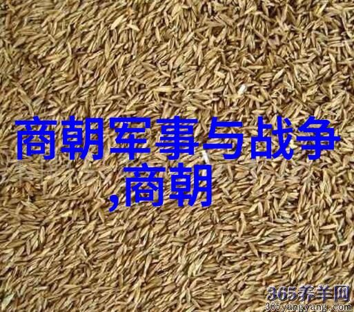 古代史 - 追溯时光比夏朝早的三个古老王朝