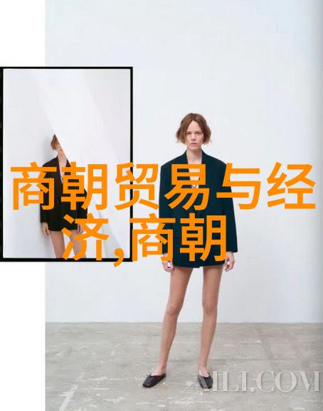 金熙宗政治经济理念及其对元朝早期发展的影响
