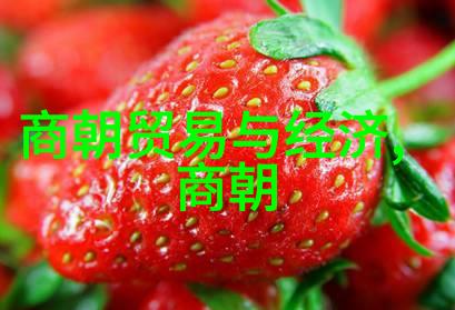 黄梅戏舞台上的江湖风情安徽省的文化宝库展现真实魅力