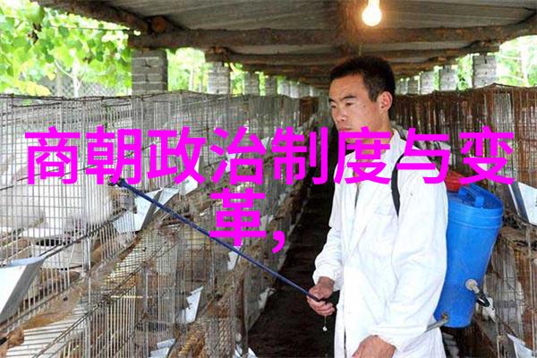 元朝奇谈录龙脉秘宝与狮子心