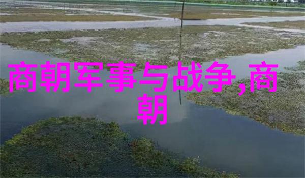 掌心的她温暖与力量之间的交响