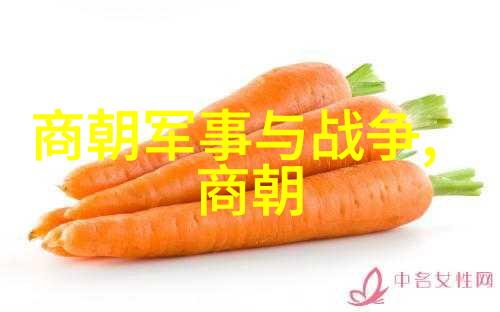 明朝那些事儿后记历史的回声与现代的思考