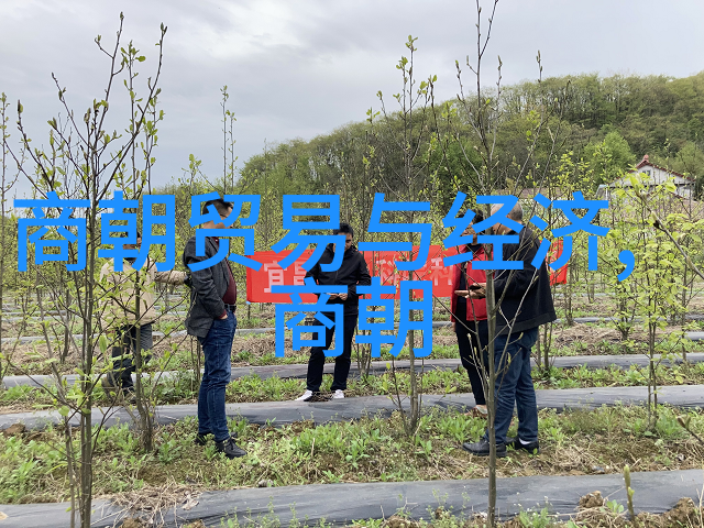 元朝的兴衰与成就历史的回响