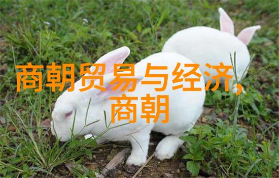 考虑到明朝内部矛盾加剧维护统一还是分裂更能促进发展