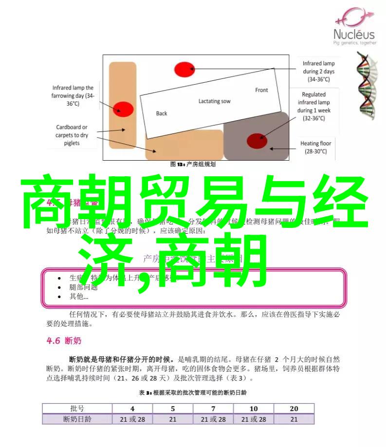 元朝奇缘录300则皇权与民间的小故事
