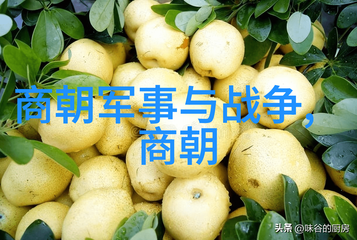 唐朝简史盛世繁华与文化辉煌