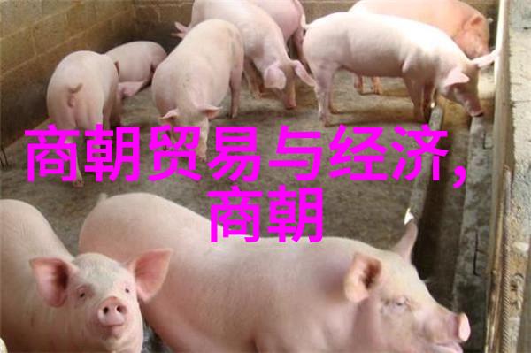 历史的隐秘角落元朝遗忘的篇章